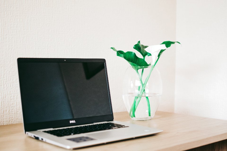Laptop abierta sobre un escritorio claro junto a una planta pequeña